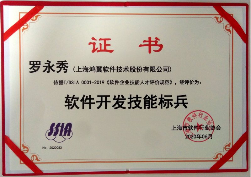 上海软件开发行业：从幕后主角到前台推手